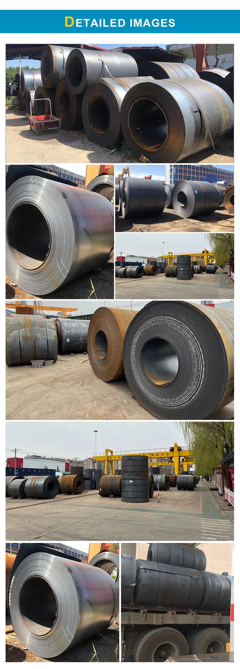 Hot Sales Q235 Q345 Hot Rolled Mild Steel Sheet Plate and Carbon Steel Coil