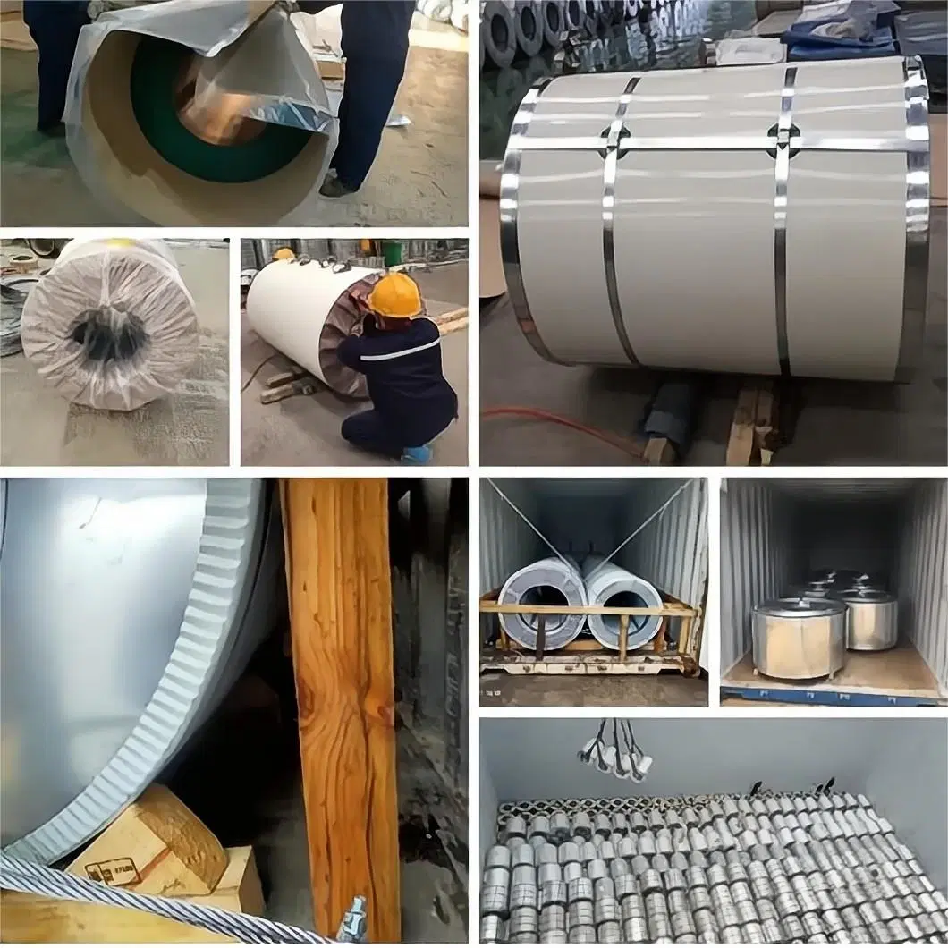 High Quality Hot Rolled Steel Coil /CRC and HRC Sheet Ms Coil Hot Rolled Coil ASTM A36 Ss400 JIS G3101 Black Low Carbon Steel Sheet in Coils
