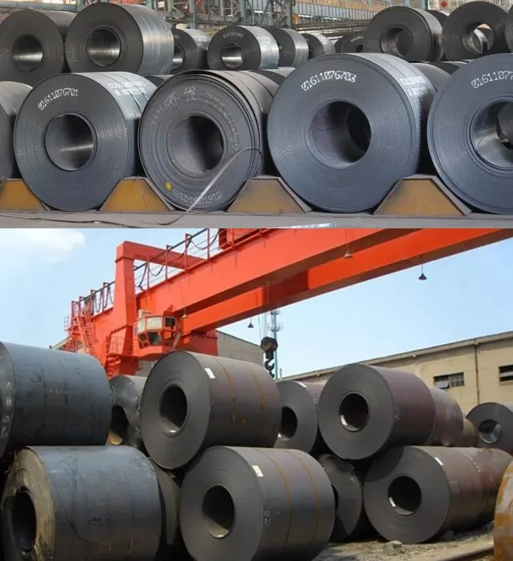 SGS / BV / TUV Mild Steel Ss400 Ms Coil SGCC DX51D Q195 Q235 9