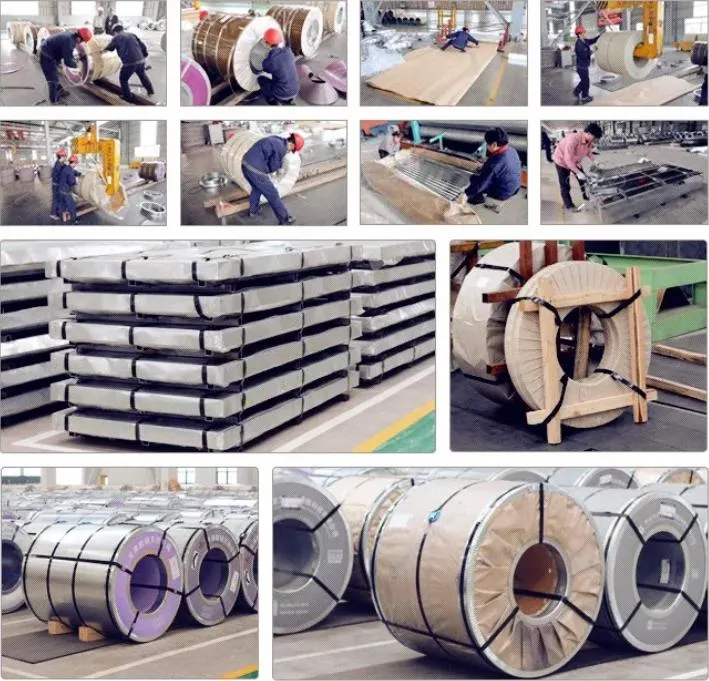 Commercial Grade 5mm-20mm Ms Carbon Steel Iron Metal Coil SPHC Ss400 Hot Rolled Steel Coils Q235 Q345 Mild Steel HRC Hr Steel Strip/Sheet/Coils