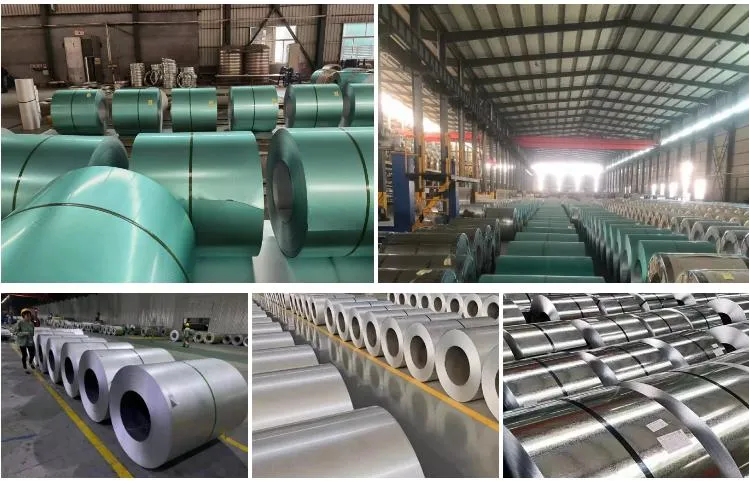 Wholesale Price Galvanized Steel Coil Strip Roofing Sheet PPGI Dx51 Zinc Coated Cold and Hot Dipped Galvanized Steel Coil