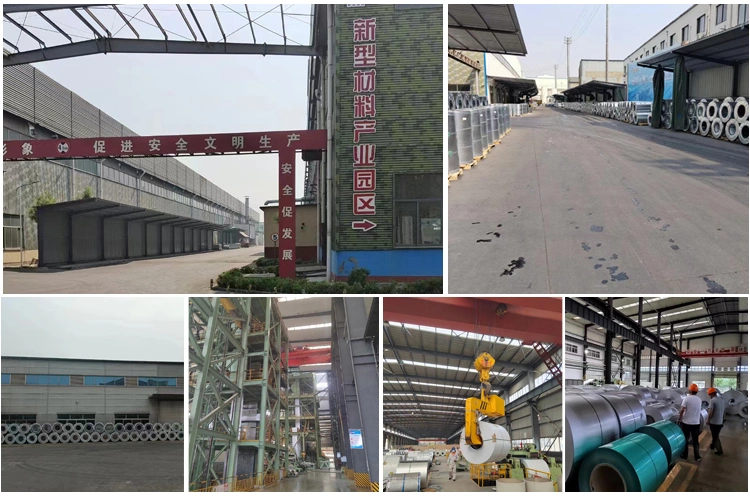 2b/Ba/No. 1/No. 4/Hl/8K Ss Coil Cold Rolled/Hot Rolled 201 304 316 309S 310S 321 430 904L Stainless Steel Coil
